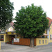 Trattoria Repanšek, Ljubljana e dintorni