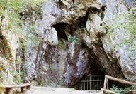 Cave Pekel, Žalec