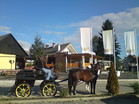 Gasthaus Pugelj, Ždinja vas 6, 8000 Novo mesto