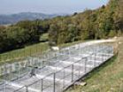 Hundehotel und Tierheim für Haustiere Oskar Vitovlje Hundehotel und Tierheim für Haustiere Oskar Vitovlje, Vitovlje 37, 5261 Šempas