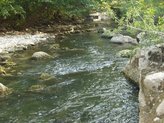 Vikend oddih za ljubitelje ribičije Vikend oddih za ljubitelje ribičije