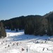 Brunarica - Koča Tinkara Pokljuka 