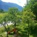 Guest house Hedvika - rooms , Bovec