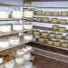 Jelinc Cheese Diary, Soča Valley