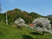 Touristischer Bauernhof Ivankotovi, Ilirska Bistrica