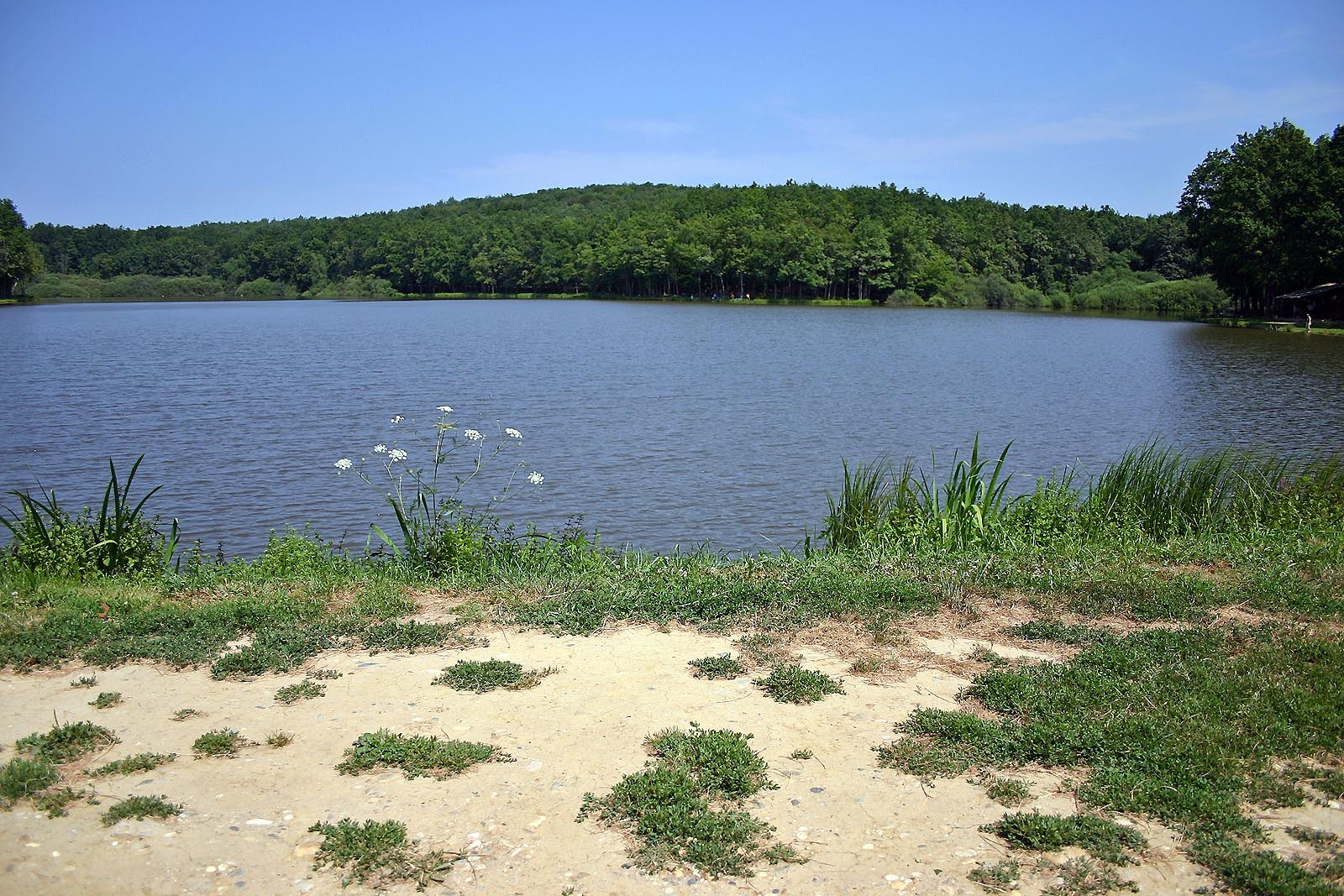 Bukovniško jezero, Dobrovnik