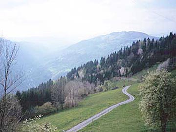 Ledine 3