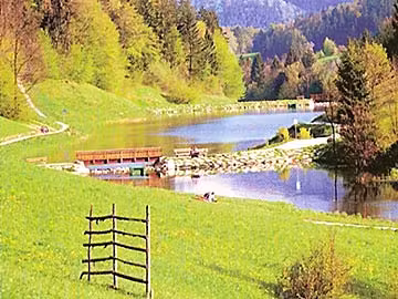 Radweg auf die Rogla 2-5