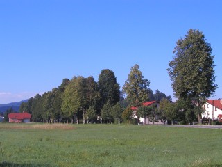Von Oberkrain ans Meer