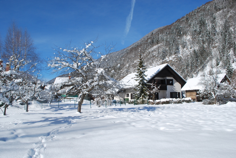 Apartments Trata