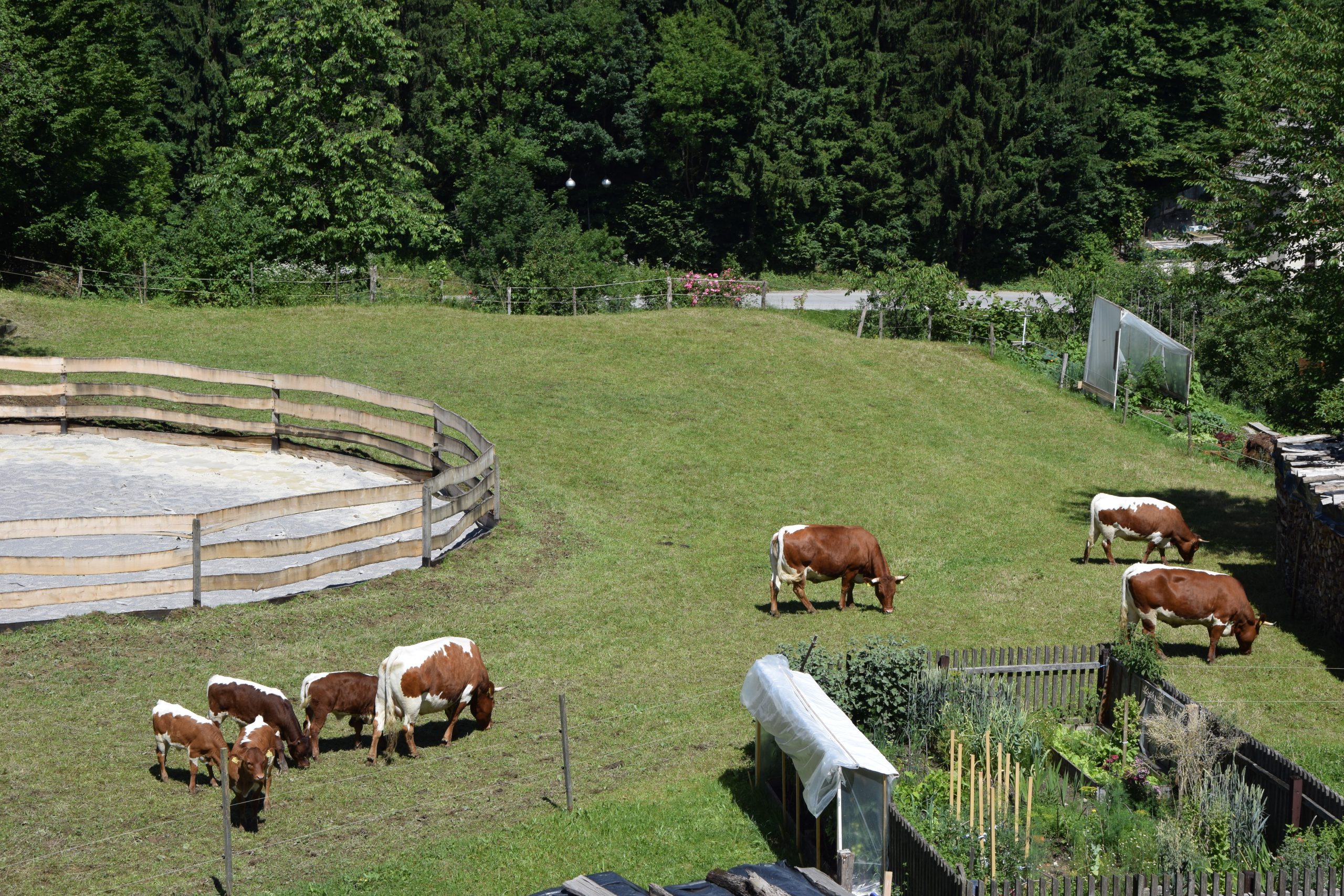 Tourismusbauernhof pri Boštjanovcu