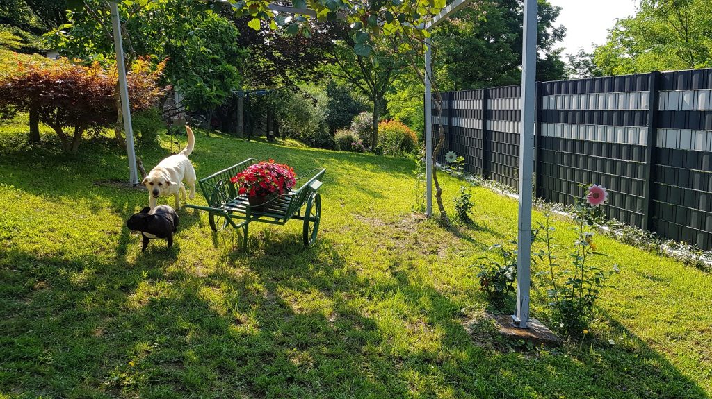 Kekec Dog Hotel