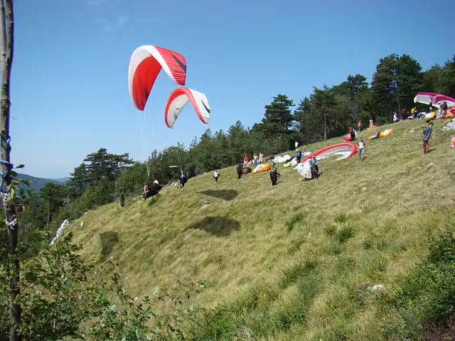Padalski center Lijak