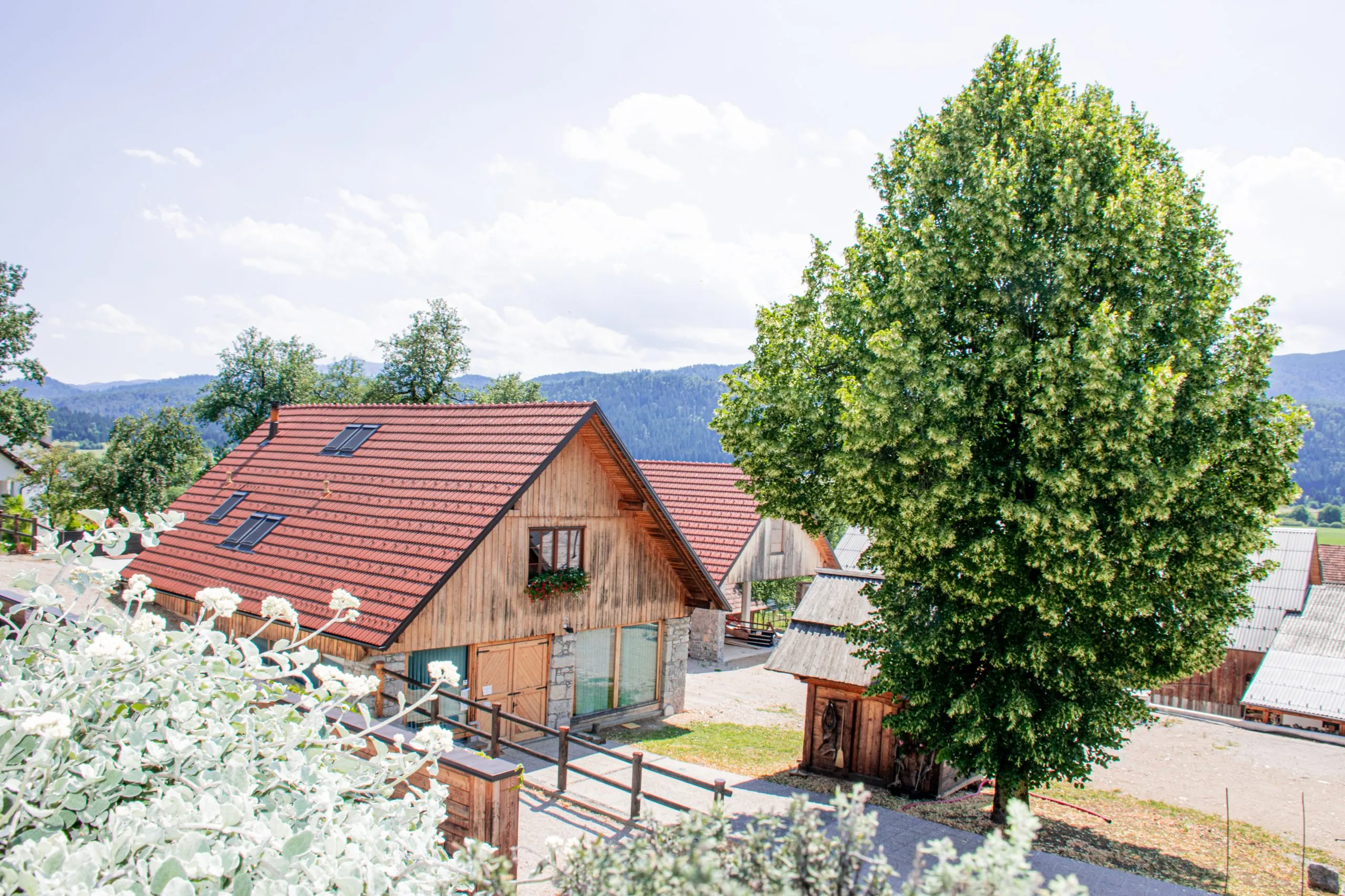 YOUTH HOSTEL ARS VIVA