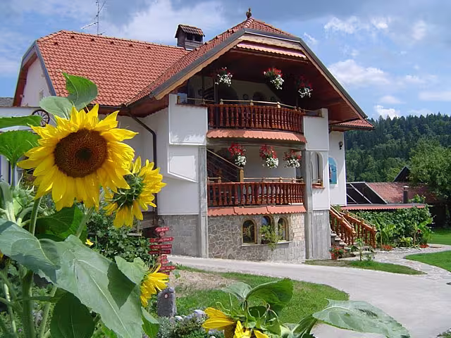 Tourismusbauernhof mit Apartments Antonija