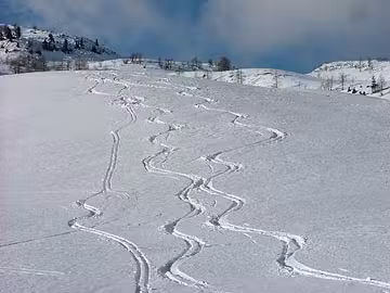 Lanževica