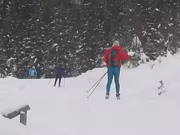 Tekaška proga 5 Planica 2